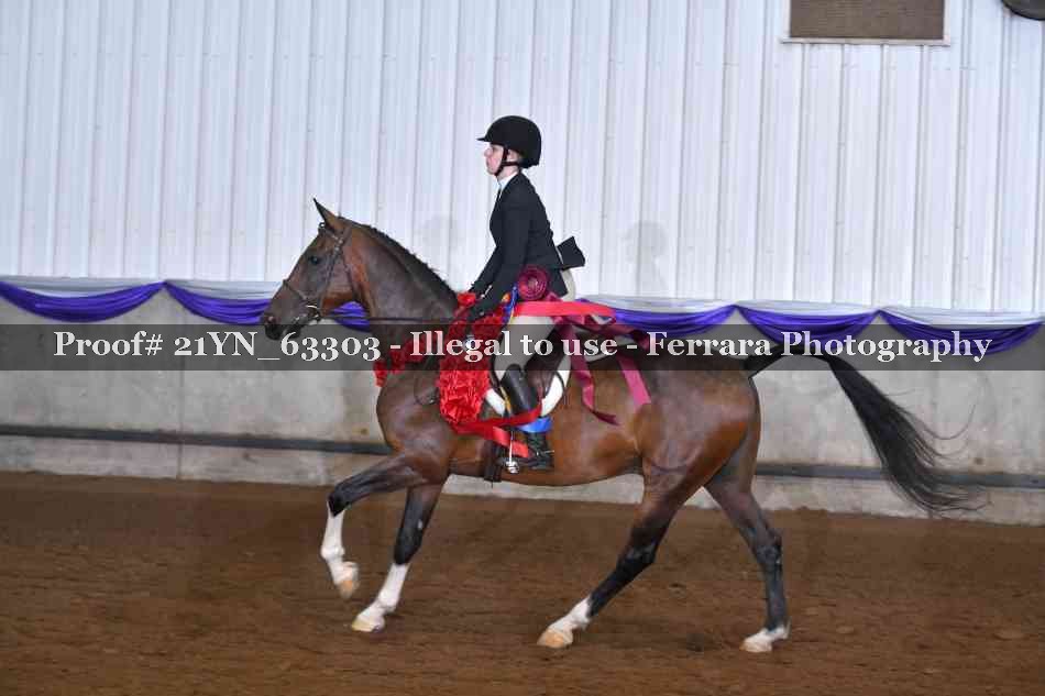 Proof 21YN_63303