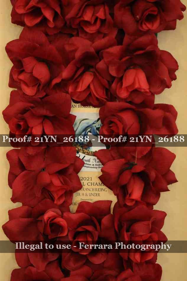 Proof 21YN_26188