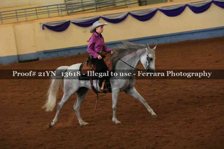 Proof 21YN_13618