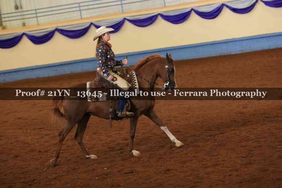Proof 21YN_13645