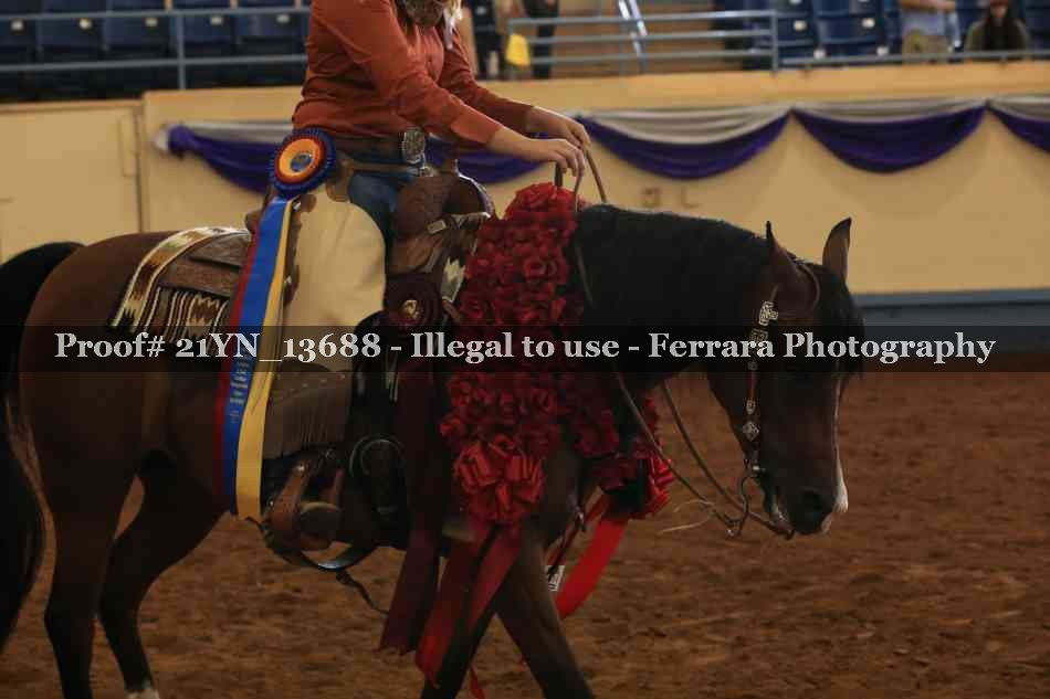 Proof 21YN_13688