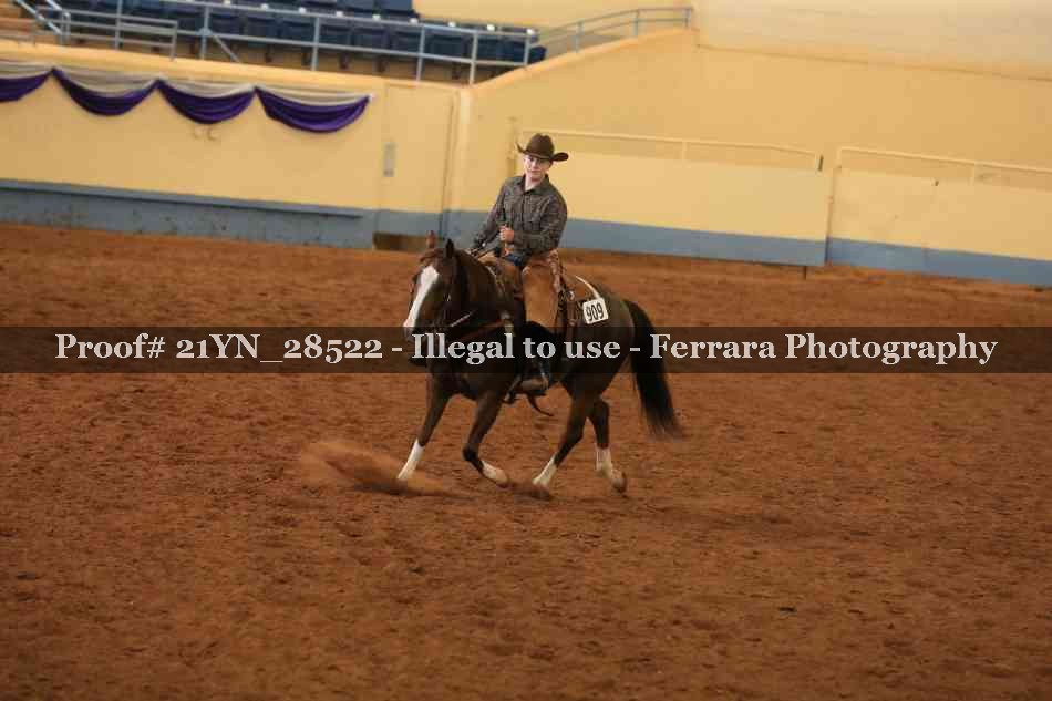 Proof 21YN_28522