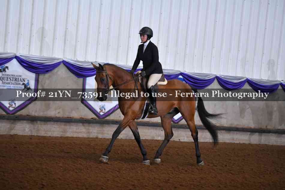 Proof 21YN_73591