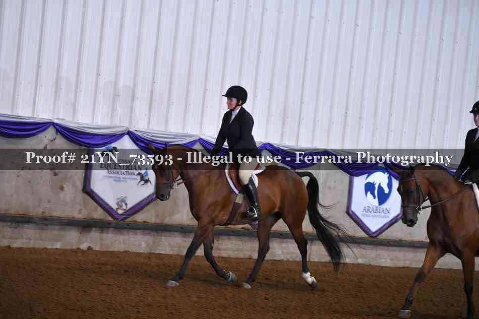 Proof 21YN_73593