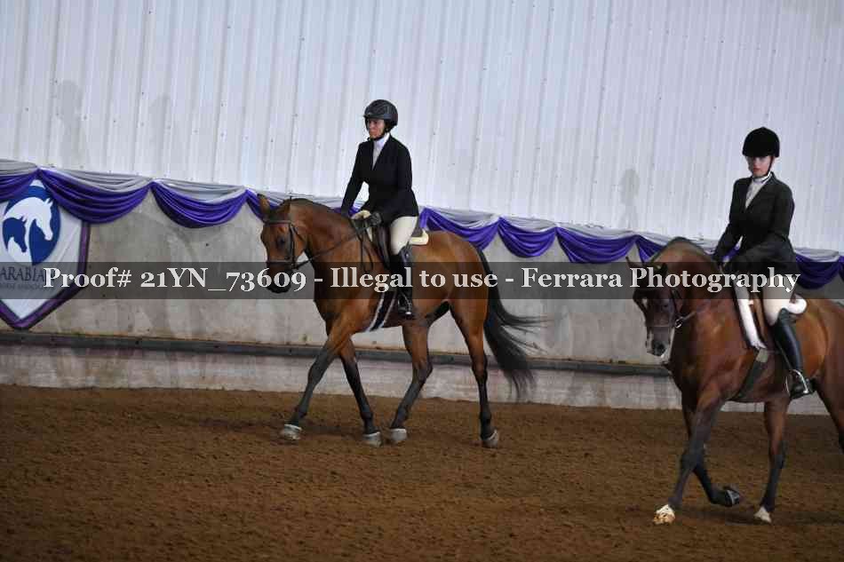 Proof 21YN_73609