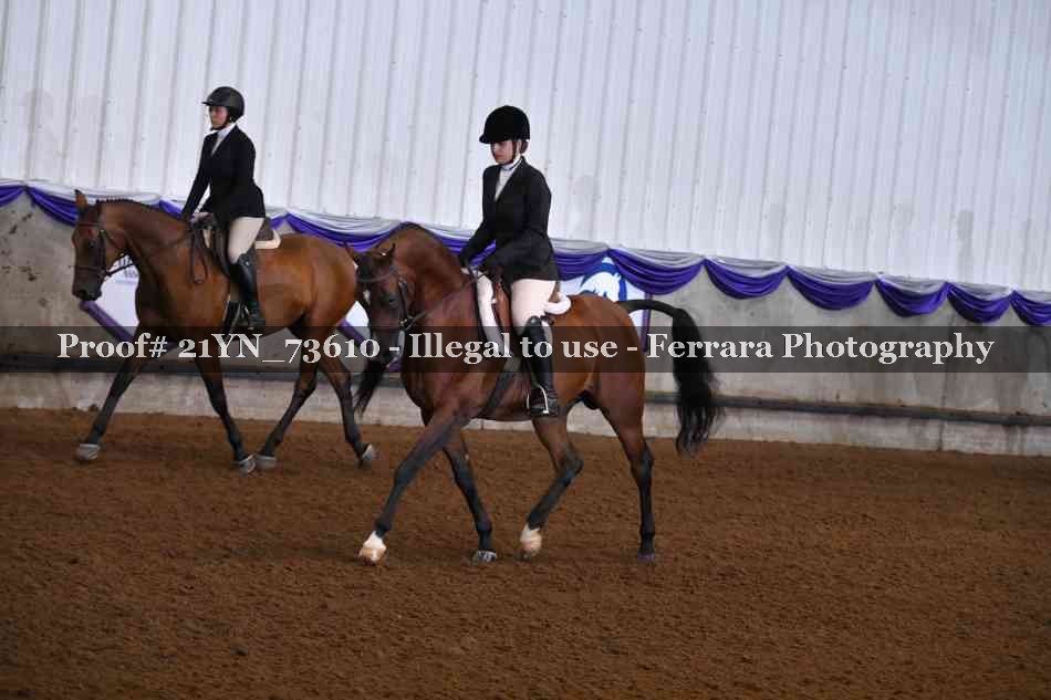 Proof 21YN_73610