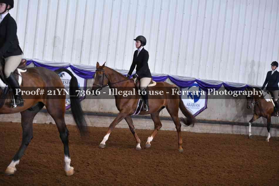 Proof 21YN_73616