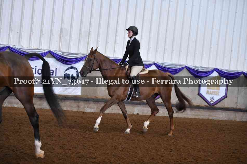 Proof 21YN_73617