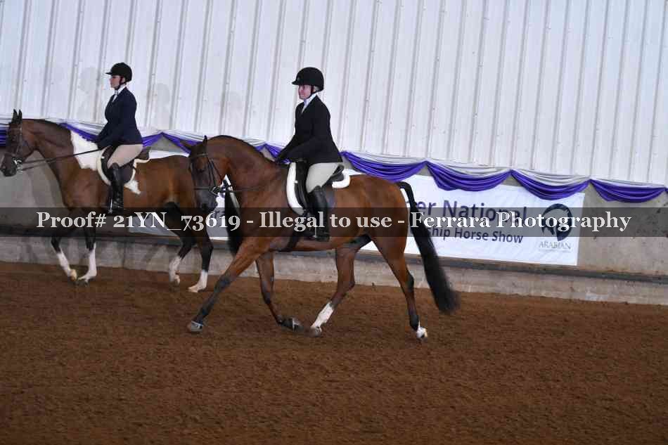 Proof 21YN_73619