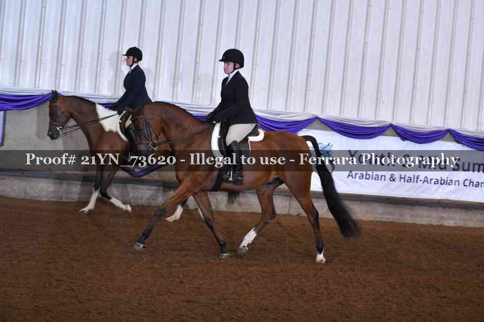 Proof 21YN_73620