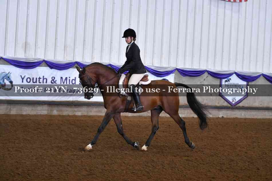 Proof 21YN_73629