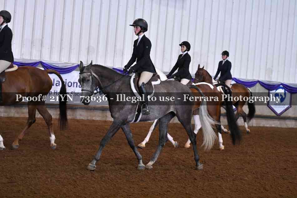 Proof 21YN_73636