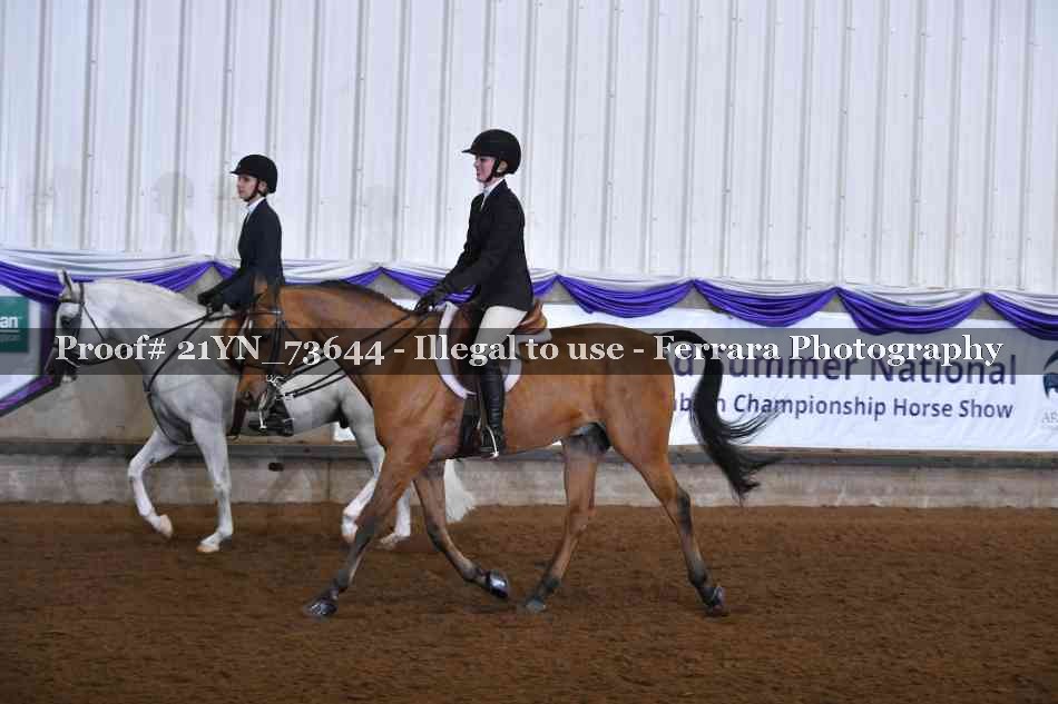 Proof 21YN_73644