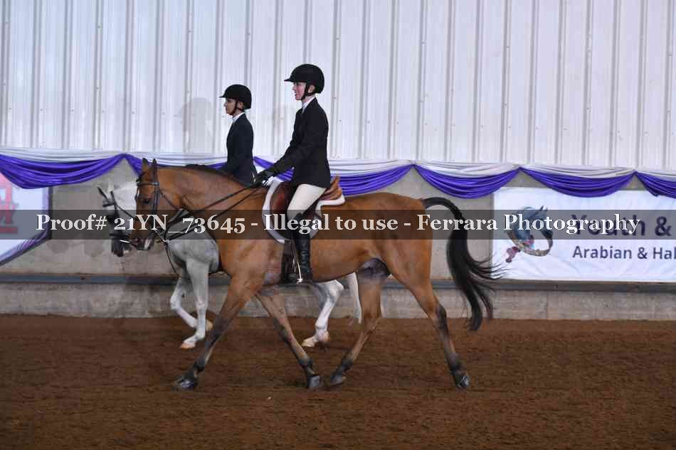 Proof 21YN_73645