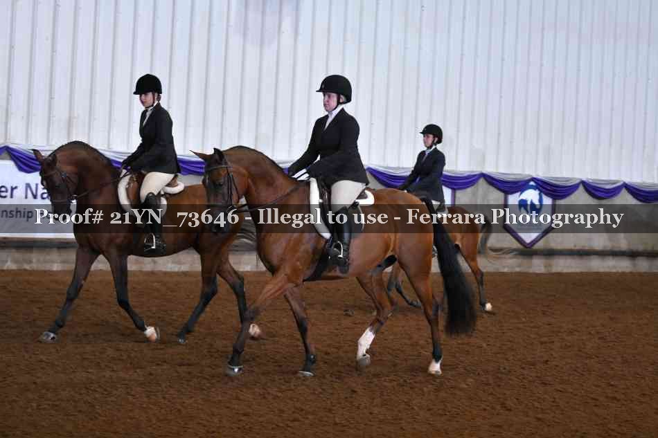 Proof 21YN_73646