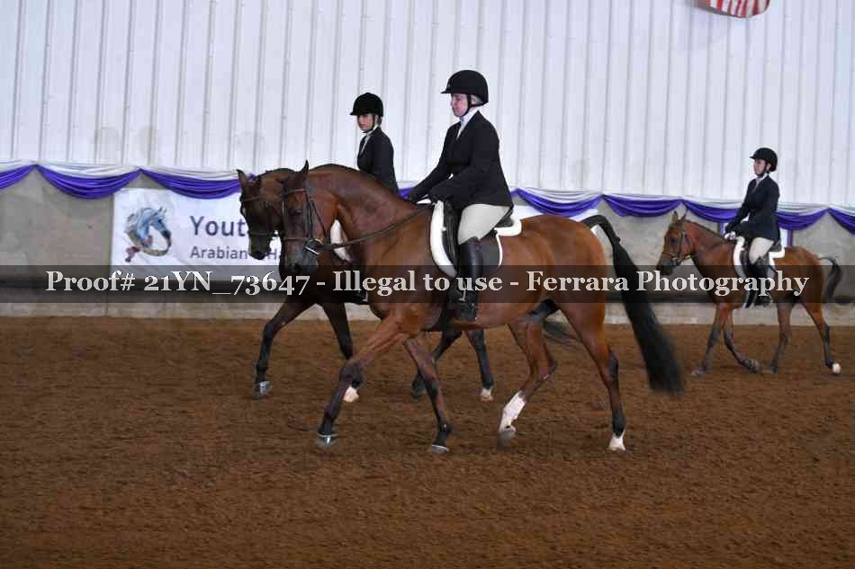 Proof 21YN_73647