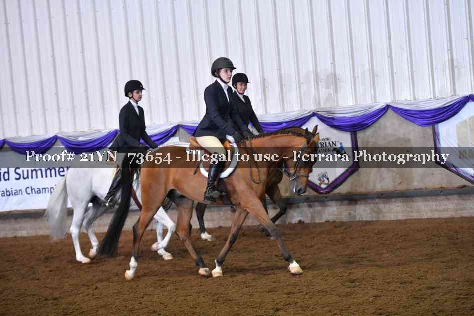 Proof 21YN_73654