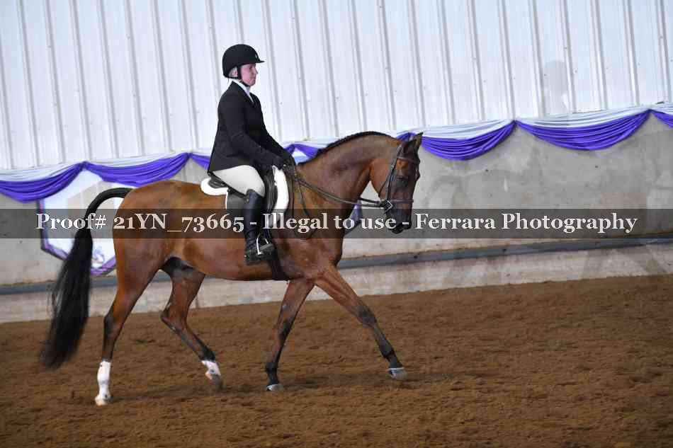 Proof 21YN_73665