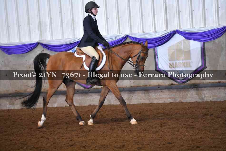 Proof 21YN_73671