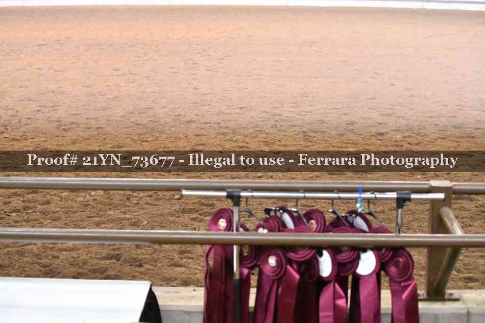 Proof 21YN_73677
