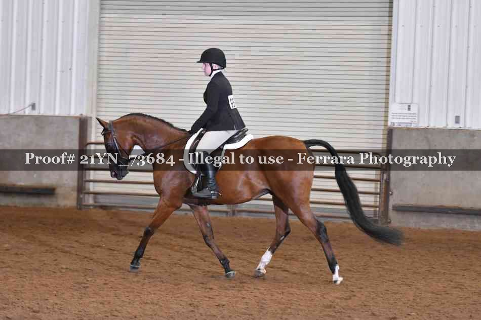 Proof 21YN_73684