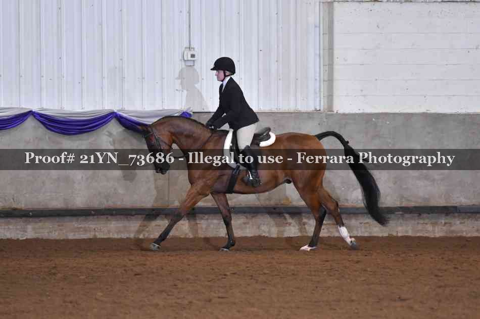 Proof 21YN_73686