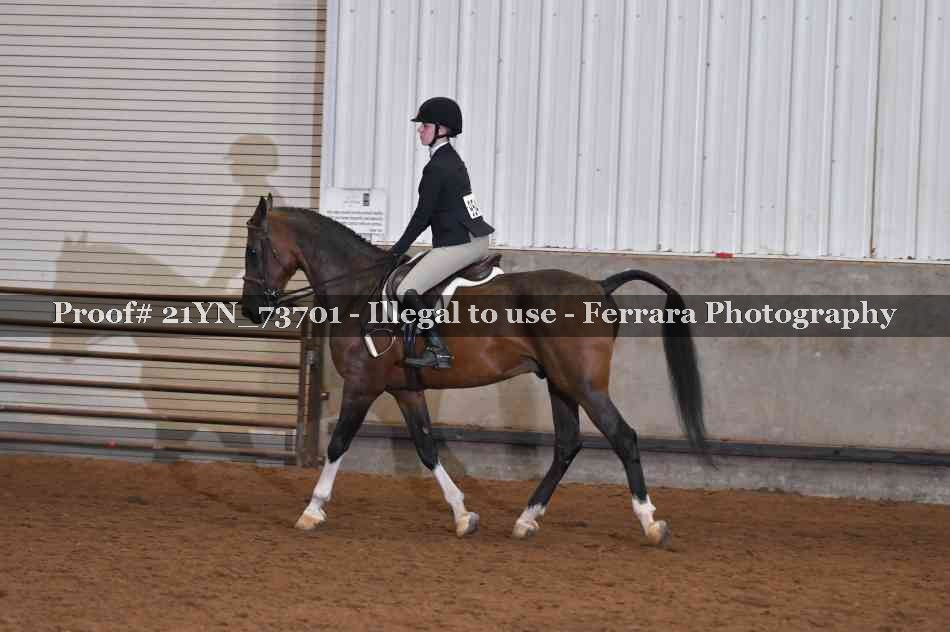 Proof 21YN_73701