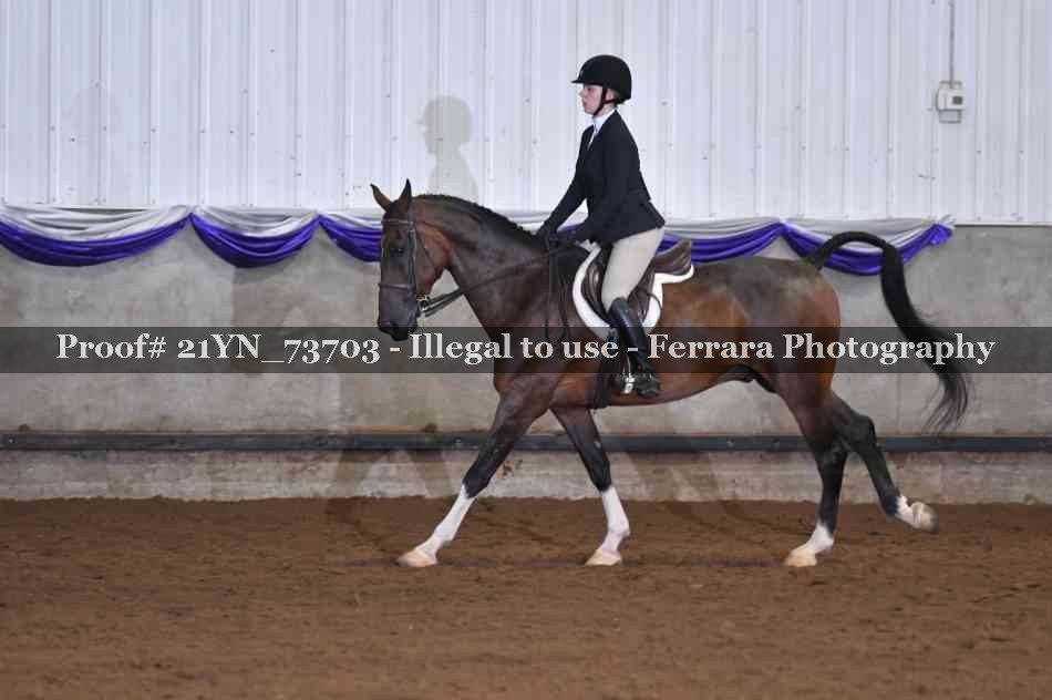 Proof 21YN_73703