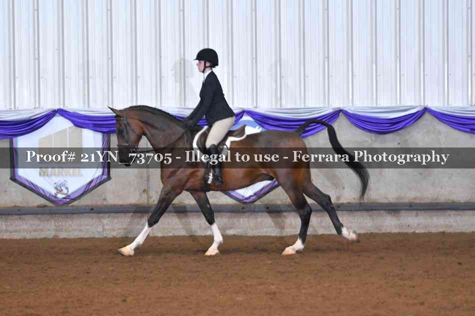 Proof 21YN_73705