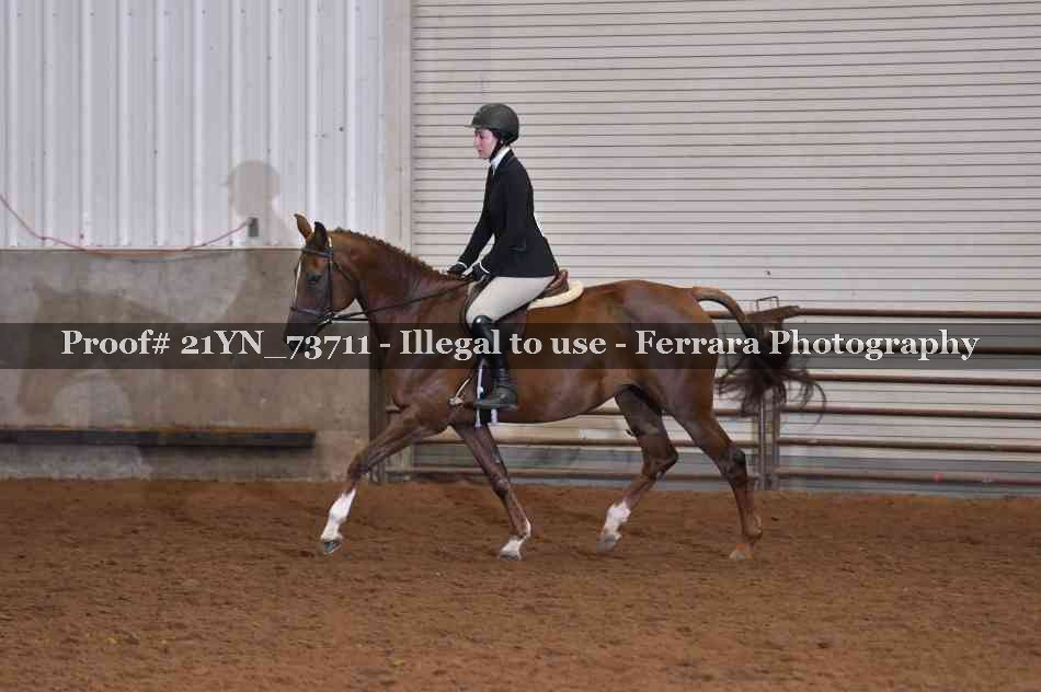Proof 21YN_73711