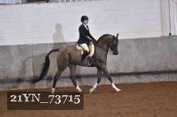 21YN_73715 proof