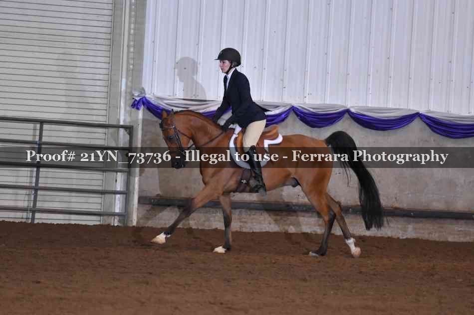 Proof 21YN_73736