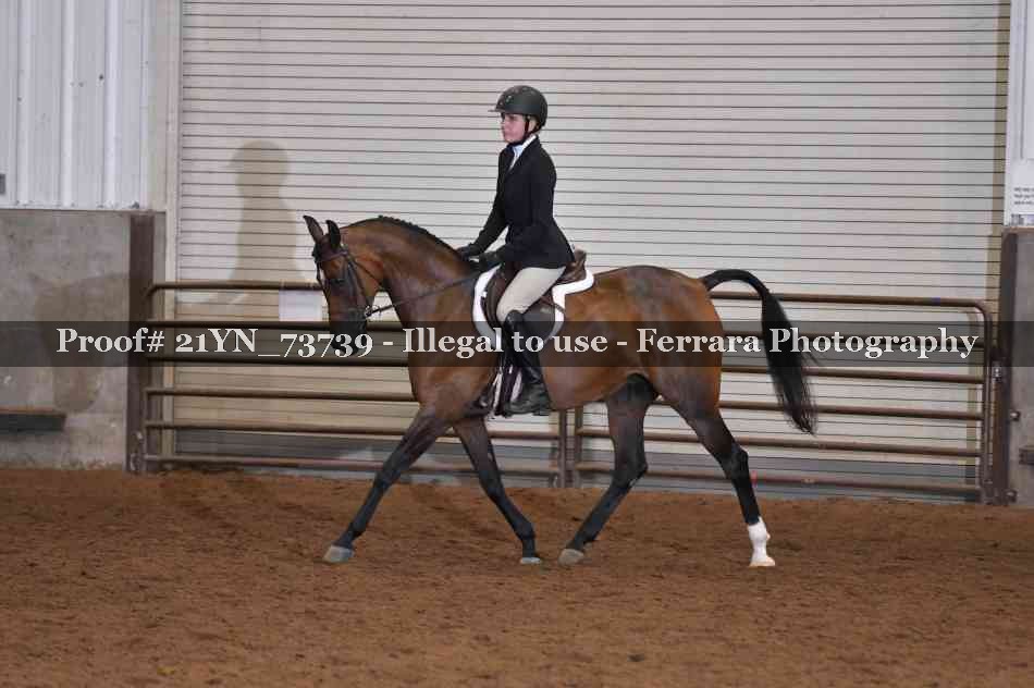 Proof 21YN_73739