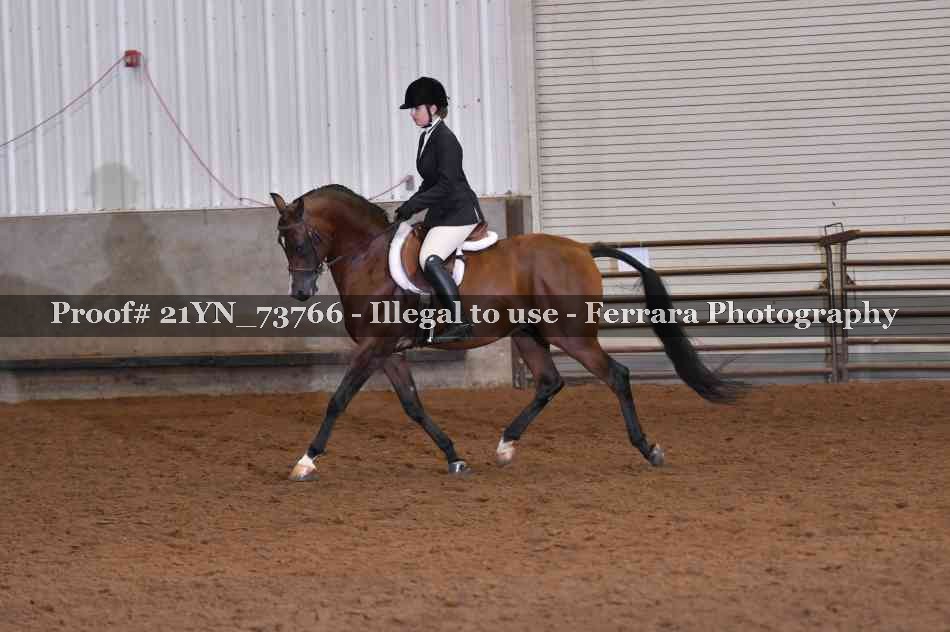 Proof 21YN_73766