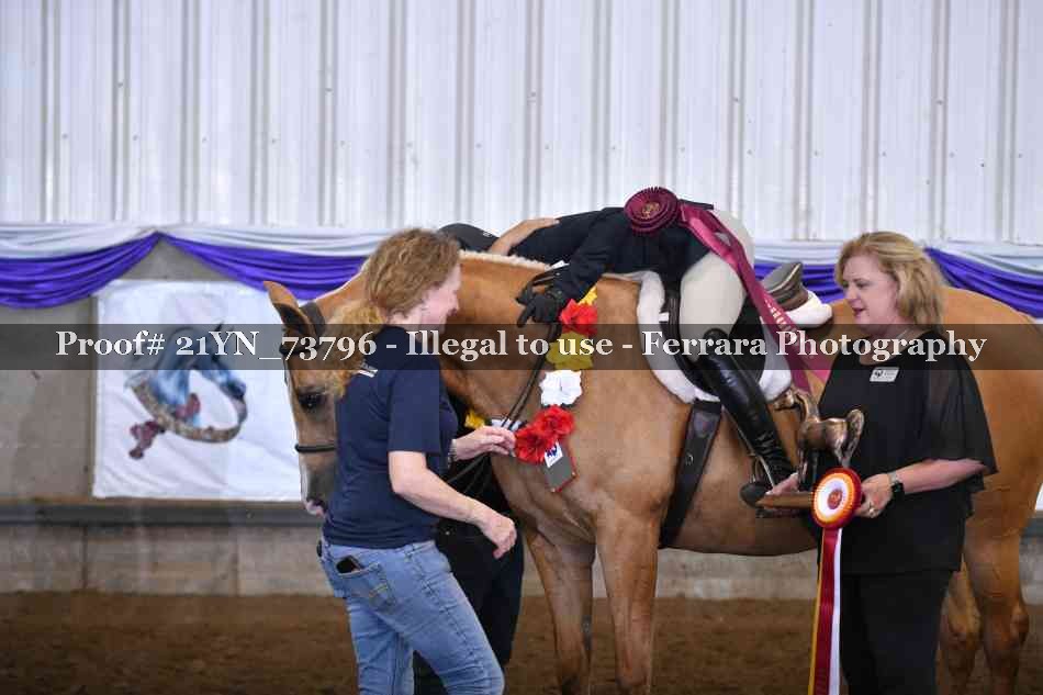Proof 21YN_73796