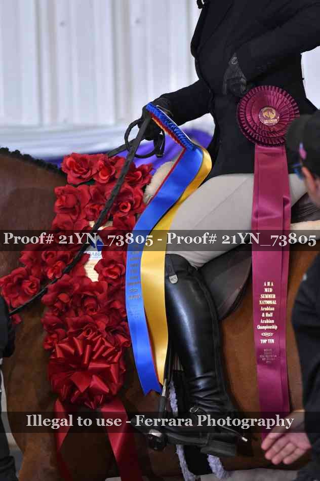 Proof 21YN_73805