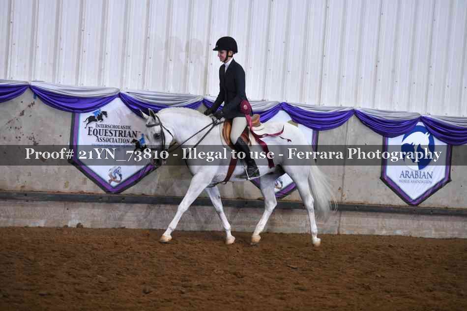 Proof 21YN_73810