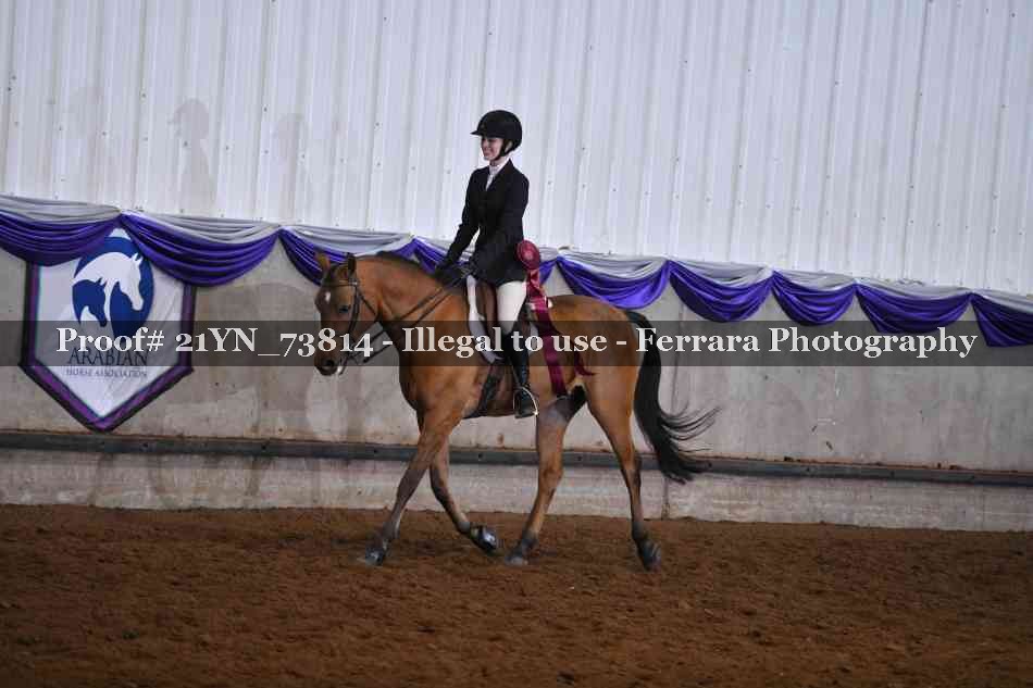 Proof 21YN_73814