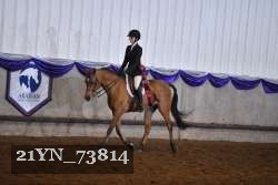 21YN_73814 proof