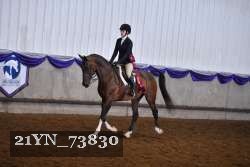 21YN_73830 proof