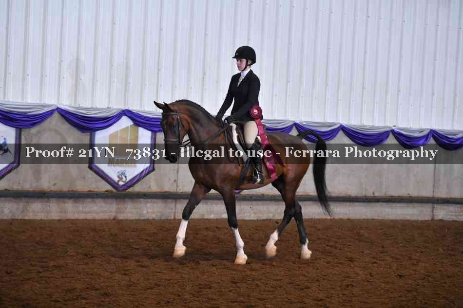 Proof 21YN_73831
