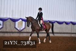 21YN_73831 proof