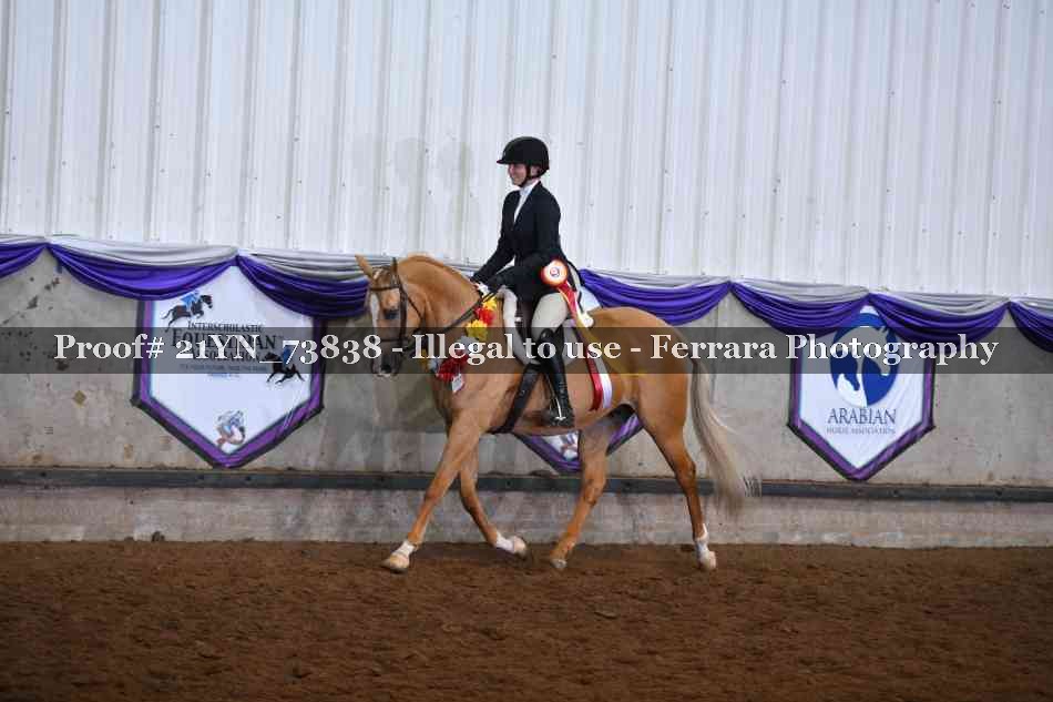 Proof 21YN_73838
