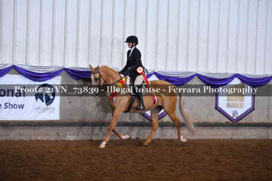 Proof 21YN_73839