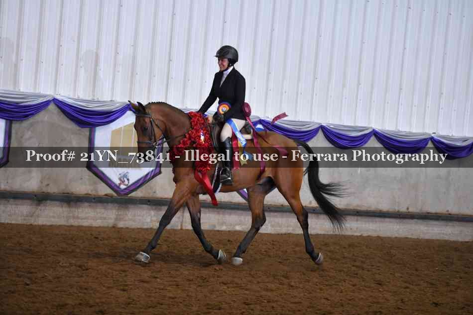 Proof 21YN_73841