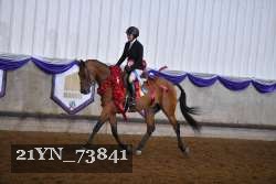 21YN_73841 proof