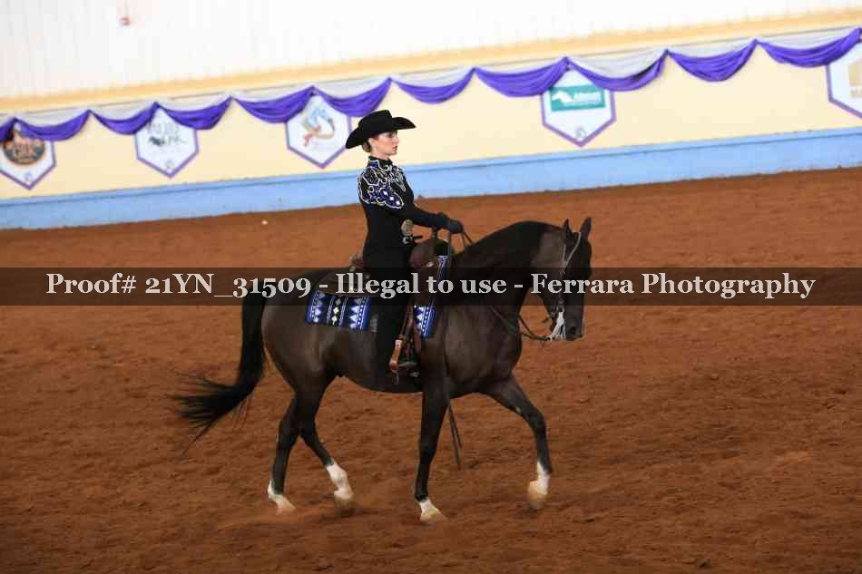 Proof 21YN_31509
