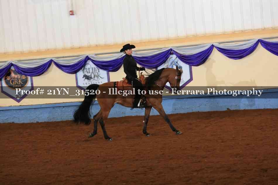 Proof 21YN_31520