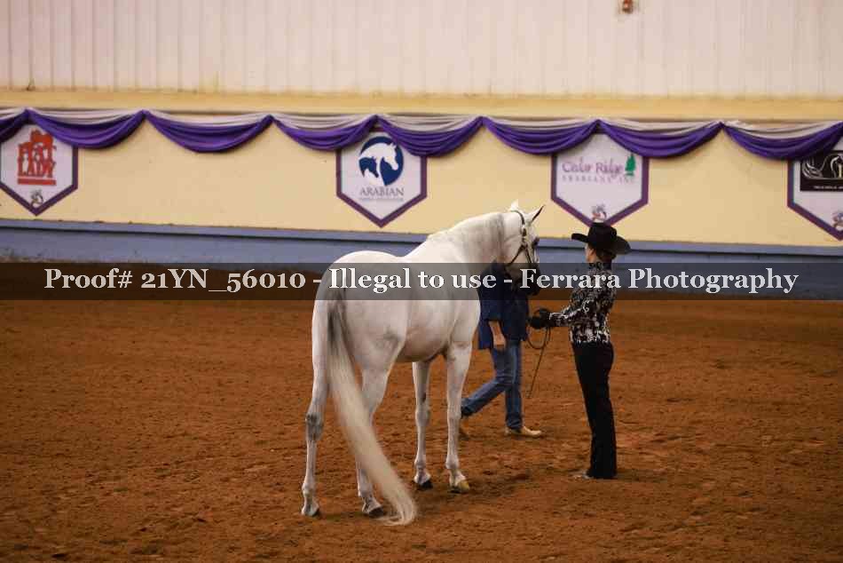 Proof 21YN_56010
