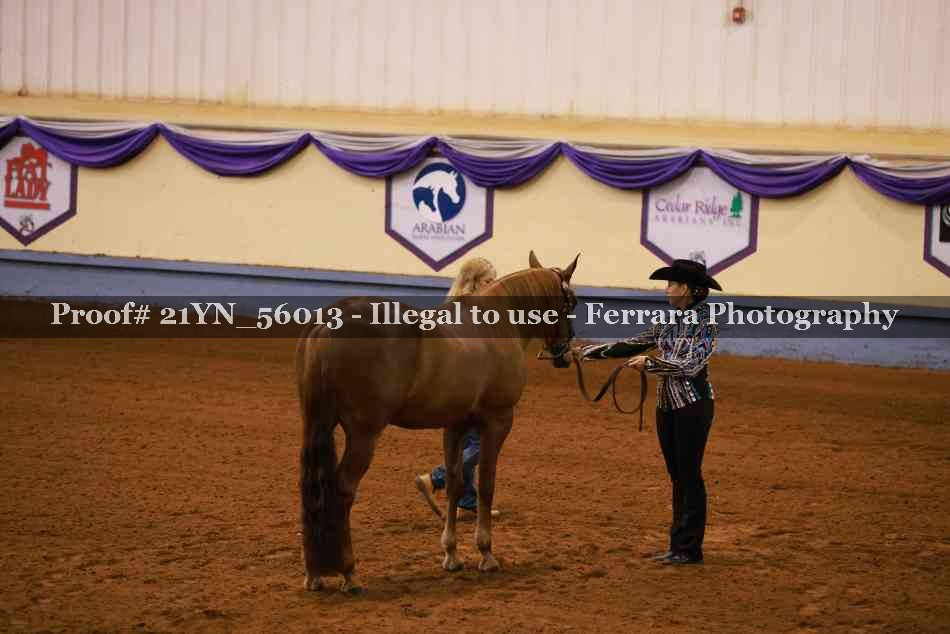 Proof 21YN_56013